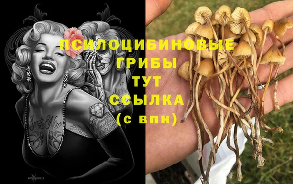 дистиллят марихуана Новодвинск