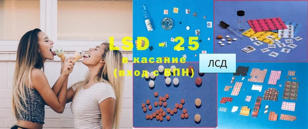 ECSTASY Богданович