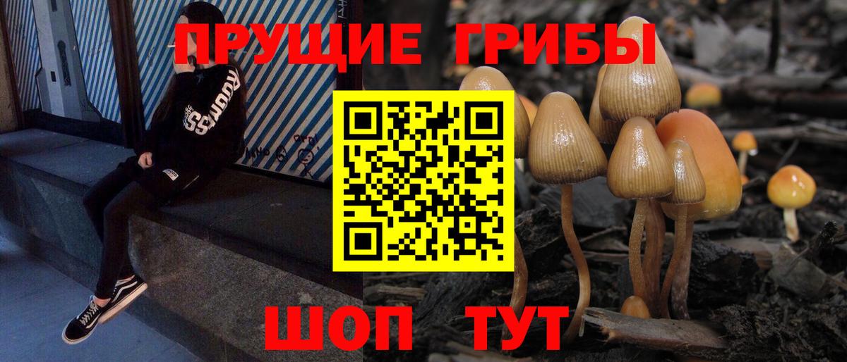 Красноярск  Псилоцибиновые грибы Magic Shrooms  Вход с VPN 