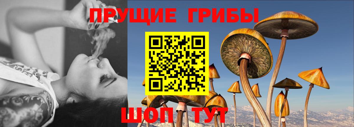 Галлюциногенные грибы Magic Shrooms  Псилоцибиновые грибы мухоморы  Красноярск 